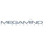 megaminditsolutions_logo-300X300